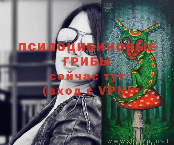 ПСИЛОЦИБИНОВЫЕ ГРИБЫ Бронницы