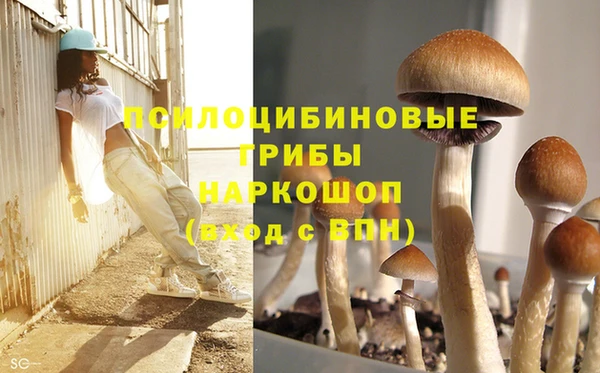 ГАЛЛЮЦИНОГЕННЫЕ ГРИБЫ Верхний Тагил