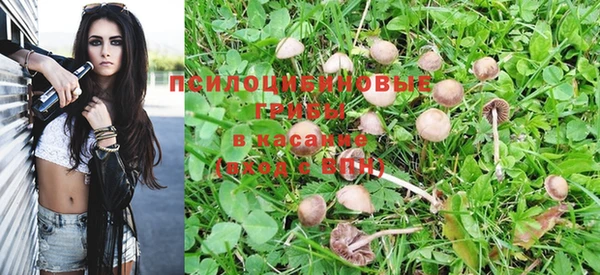 Альфа ПВП Бородино