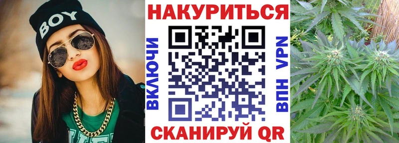 хочу наркоту  Балашиха  Бошки марихуана ГИДРОПОН 